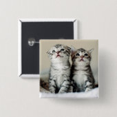 Twee Cute Kittens Vierkante Button 5,1 Cm (Voorkant /achterkant)