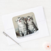 Twee Cute Kittens Vierkante Sticker (Envelop)