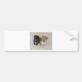 Twee Cute Labrador-Puppies Bumpersticker