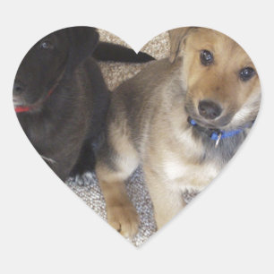 Twee Cute Labrador-Puppies Hart Sticker