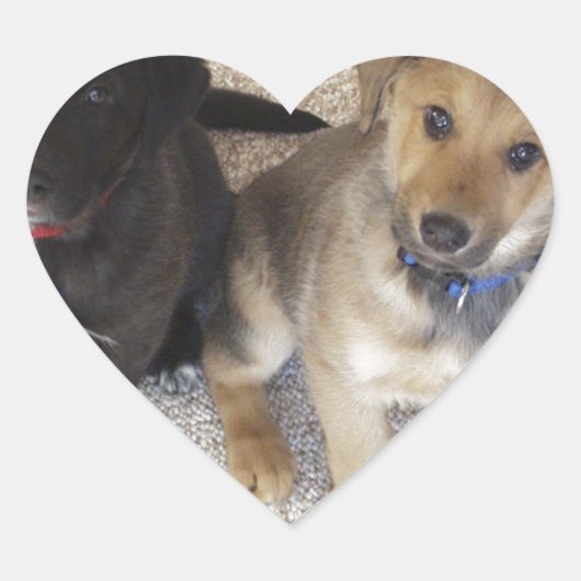 Twee Cute Labrador-Puppies Hart Sticker (Voorkant)