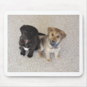 Twee Cute Labrador-Puppies Muismat (Voorkant)