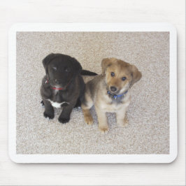 Twee Cute Labrador-Puppies Muismat