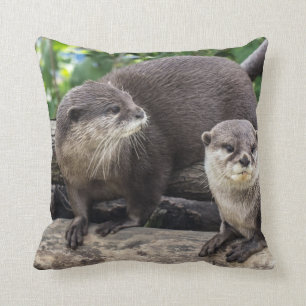 Twee Cute Otters   Otter Kussen