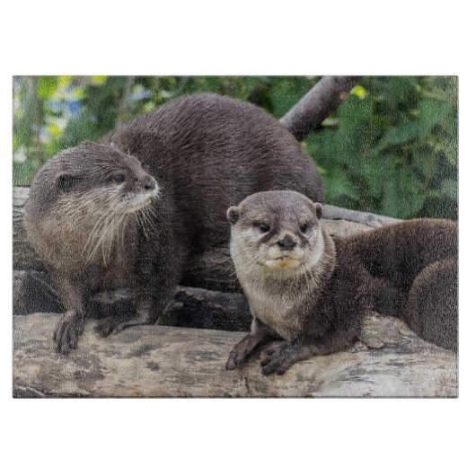Twee Cute Otters | Otter Snijplank (Voorkant)