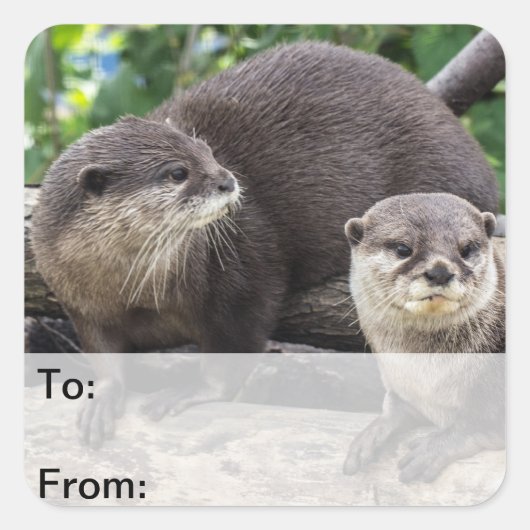 Twee Cute Otters | Otter Vierkante Sticker (Voorkant)