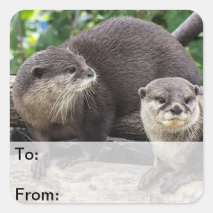 Twee Cute Otters   Otter Vierkante Sticker