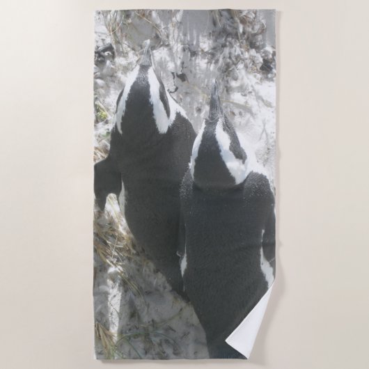 Twee Cute Penguins Beach Towel Strandlaken (Voorkant)