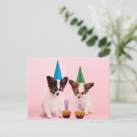 Twee Cute Puppies/W Birthday Petten & kaarsen Briefkaart (Staand voorkant)