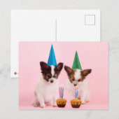 Twee Cute Puppies/W Birthday Petten & kaarsen Briefkaart (Voorkant / Achterkant)