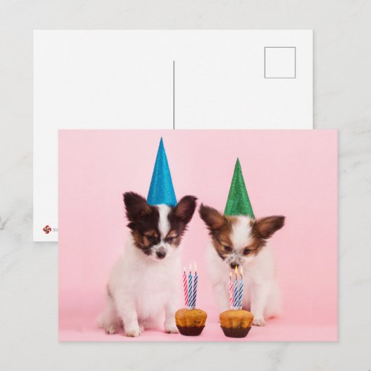 Twee Cute Puppies/W Birthday Petten & kaarsen Briefkaart (Voorkant / Achterkant)