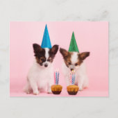 Twee Cute Puppies/W Birthday Petten & kaarsen Briefkaart (Voorkant)
