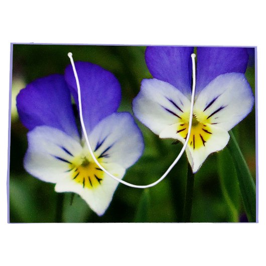 Twee Cute Viola Flowers Gift Bag Groot Cadeauzakje (Achterkant)