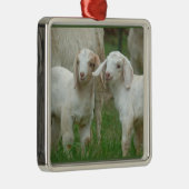 Twee Cute White Baby geiten Metalen Ornament (Rechts)