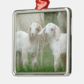 Twee Cute White Baby geiten Metalen Ornament (Links)