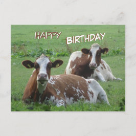 Twee Cute White-Brown Koeien Birthday Briefkaart