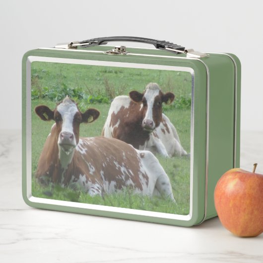 Twee Cute White-Brown Koeien Lunchbox (In situ)