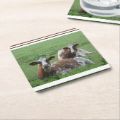 Twee Cute White-Brown Koeien Onderzetter (Schuin)