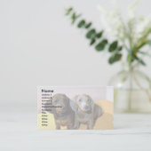 Twee Dachshund-pups Visitekaartje (Staand voorkant)