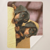 TWEE DACHSUNDS SHERPA DEKEN (Voorkant)