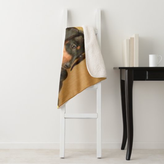 TWEE DACHSUNDS SHERPA DEKEN (In situ)