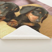 TWEE DACHSUNDS SHERPA DEKEN (3/4)
