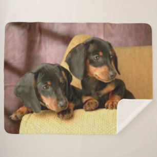 TWEE DACHSUNDS SHERPA DEKEN