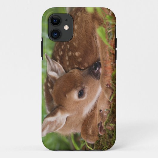 Twee dagen oude baby witstaarthert, Kentucky. Case-Mate iPhone Case (Achterkant)