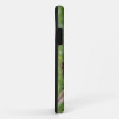 Twee dagen oude baby witstaarthert, Kentucky. Case-Mate iPhone Case (Achterkant/rechts)