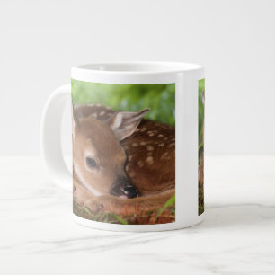 Twee dagen oude baby witstaarthert, Kentucky. Grote Koffiekop