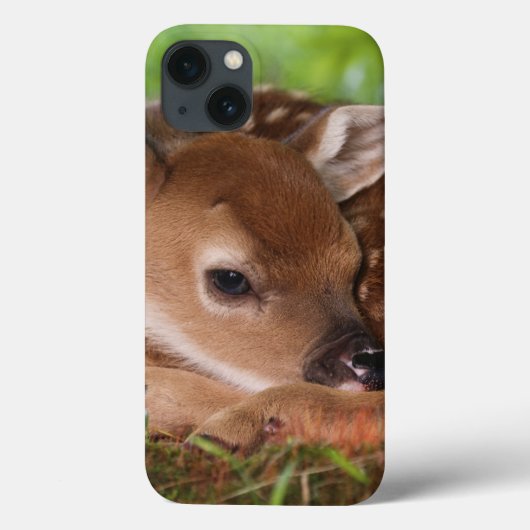 Twee dagen oude Witstaartdij baby, Kentucky. Case-Mate iPhone Case (Achterkant)