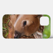 Twee dagen oude Witstaartdij baby, Kentucky. Case-Mate iPhone Case (Achterkant (horizontaal))