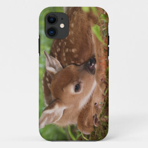 Twee dagen oude Witstaartdij baby, Kentucky. Case-Mate iPhone Case