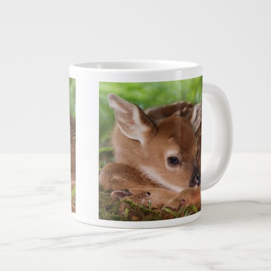 Twee dagen oude Witstaartdij baby, Kentucky. Grote Koffiekop (Voorkant rechts)