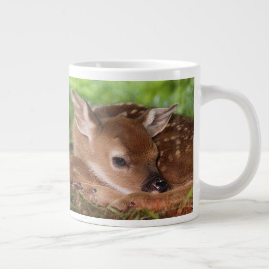 Twee dagen oude Witstaartdij baby, Kentucky. Grote Koffiekop (Rechts)