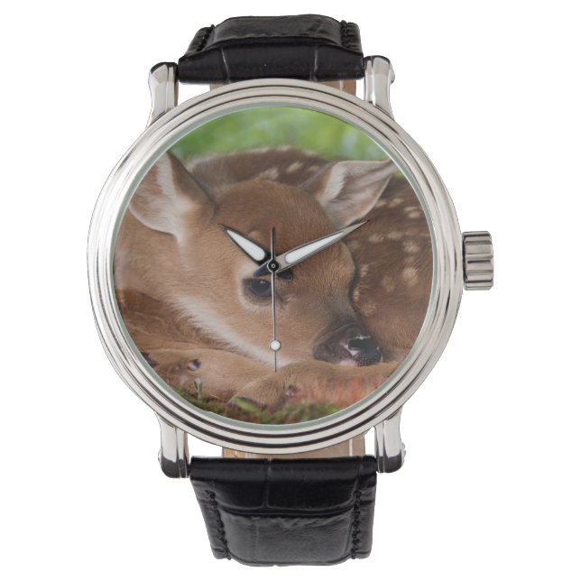 Twee dagen oude Witstaartdij baby, Kentucky. Horloge (Voorkant)