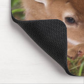 Twee dagen oude Witstaartdij baby, Kentucky. Muismat (Hoek)