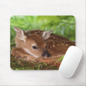 Twee dagen oude Witstaartdij baby, Kentucky. Muismat (Met muis)