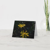 Twee Daisy Flowers Kaart (Voorkant)