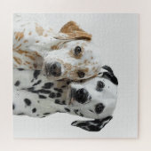 Twee Dalmation Dogs Legpuzzel (Horizontaal)