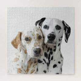 Twee Dalmation Dogs Legpuzzel