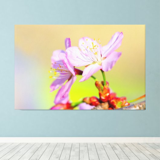Twee dappere kersenbloesems en kleurrijke achtergr canvas afdruk (Insitu (Houten vloer))