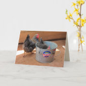 Twee Darn Cute Chickens Kaart (Gele Bloem)