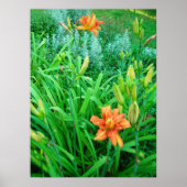 Twee Daylileugens en Artemesia Poster (Voorkant)