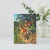 Twee deer en klap in het bos Briefkaart (Staand voorkant)