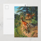 Twee deer en klap in het bos Briefkaart (Voorkant / Achterkant)