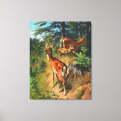 Twee deer en klap in het bos canvas afdruk (Voorkant)