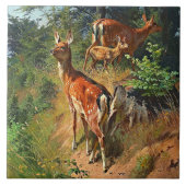 Twee deer en klap in het bos tegeltje (Voorkant)