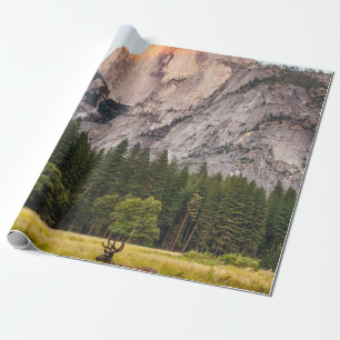 TWEE DEER VOOR DE HALFDOME IN JEUGD VALLEY CADEAUPAPIER