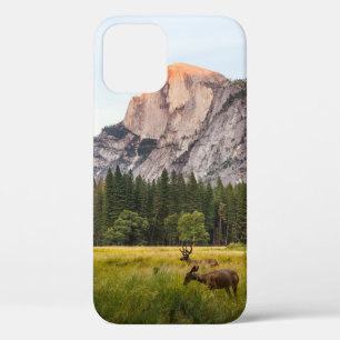 TWEE DEER VOOR DE HALFDOME IN JEUGD VALLEY  Case-Mate iPhone CASE